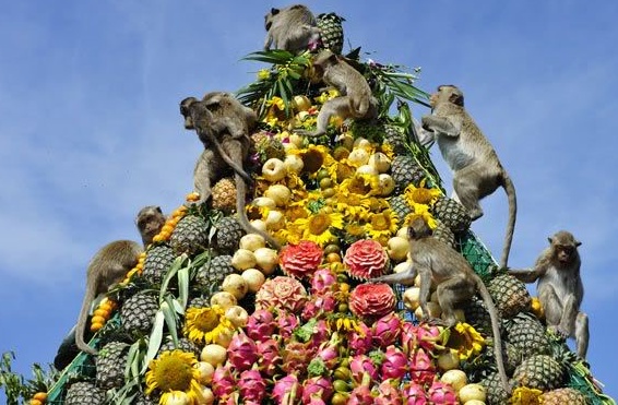 It Beats the Teddy Bear Picnic: Thailand's Monkey Buffet | Wicked and  Weird...Around The World!